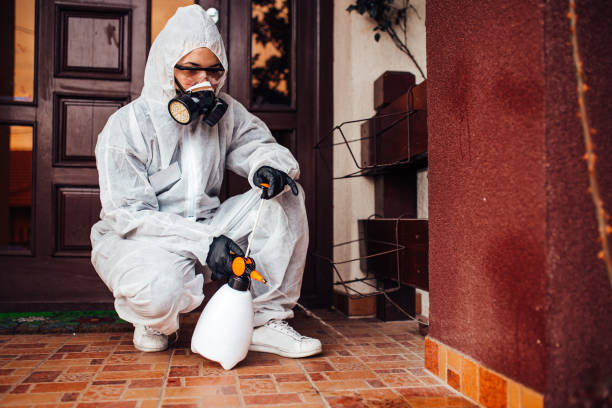Attic and Crawl Space Rodent Treatment in Welsh